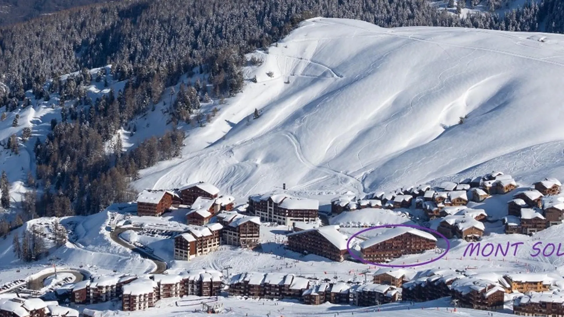 Appartement Au Pied Des Pistes Avec Balcon Et Cuisine Equipee - Fr-1-455-7 La Plagne Apartment